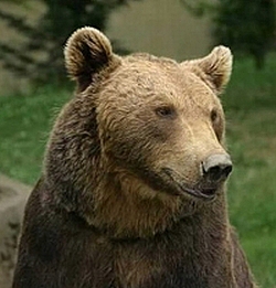 58